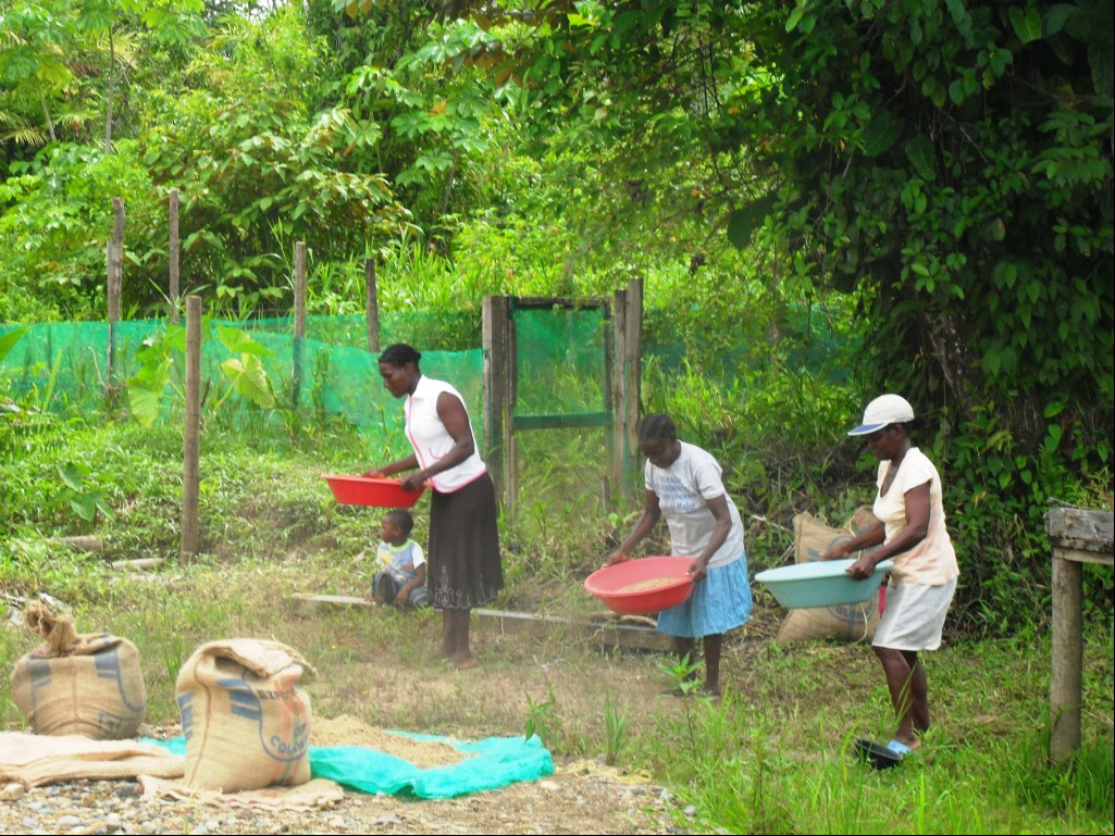 Mujeres venteando arroz en el medio Atrato