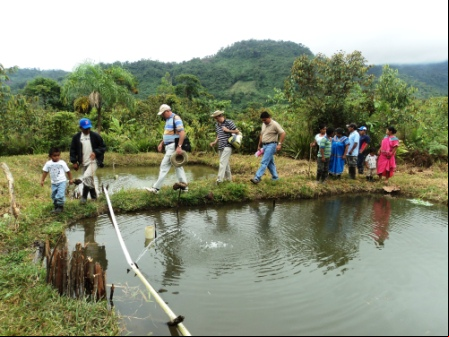Proyecto agropecuario en Panamá