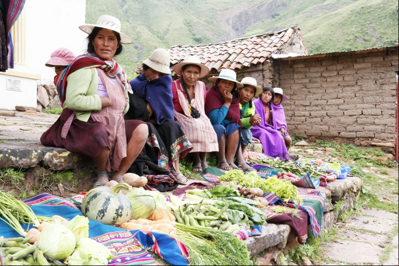 Campesinas bolivianas. Foto: Manos Unidas ONG/Ana Pérez 