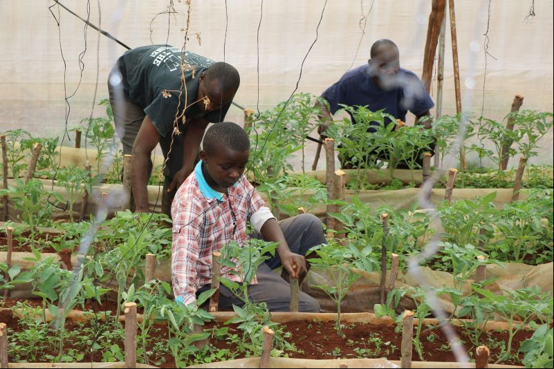 Día de Africa: Desafío Centro de acogida y formación. Foto: Javier Mármol. Manos Unidas en Kenia 