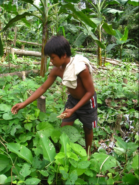 Pueblos indígenas Amazonía. Foto: Manos Unidas/Carmen Santaolaya