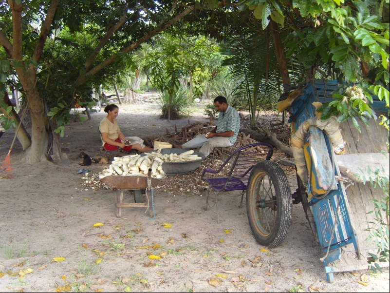 Nilton y Fátima viven de vender harina de mandioca (yuca). Hace 2 meses que no pueden trabajar. Imagen: Asociación ANSA y Asociación Araguaia con el Obispo Casaldáliga
