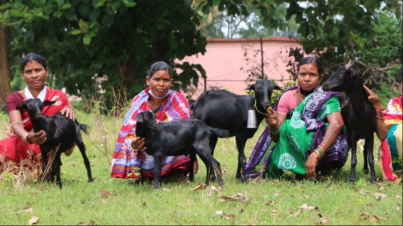 Mujeres en Orissa, India. Foto: Manos Unidas
