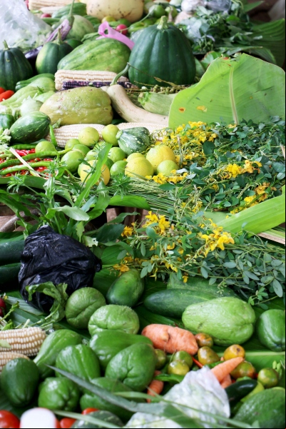  Agroecología en América Latina - Foto Manos Unidas