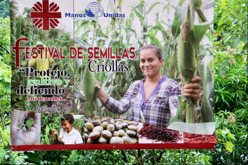 Agroecología en América Latina - Foto Manos Unidas