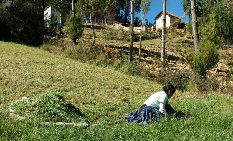 Perú - Foto CCAIJO