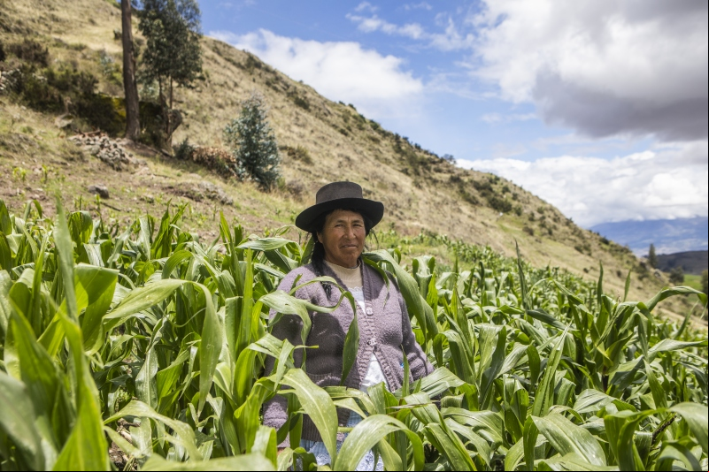 Agroecología en América Latina - Foto Ana Castañeda Manos Unidas
