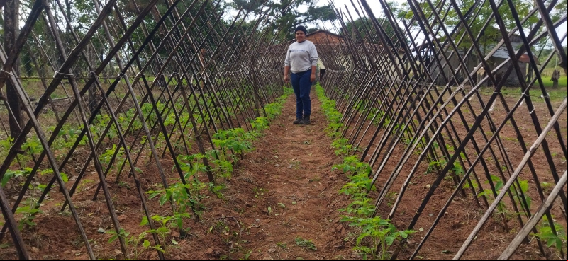 Proyecto de huertos agroecológicos en Paraguay. Fotografía: Altervida / Manos Unidas