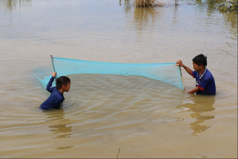 Unos niños intentan atrapar peces con una red. | Imagen: Camboya - Marta Carreño Guerra