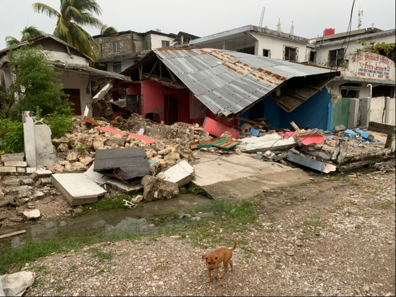 Consecuencias del terremoto en Haití