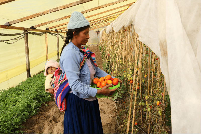 Celia Mamani, beneficiaria del proyecto de ACLO y Manos Unidas en Bolivia