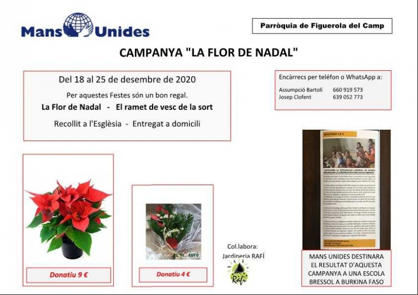Campaña "La flor de Nadal" de Figuerola del Camp