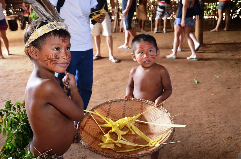 Primeras reflexiones sobre "Querida Amazonía" desde España y desde Colombia.