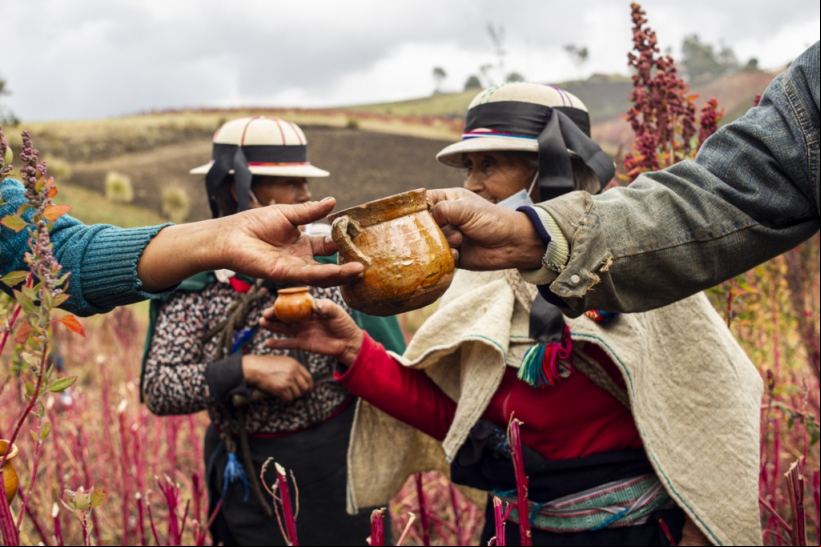 Ecuador - Economía social y solidaria - Manos Unidas - Foto Josep Vecino
