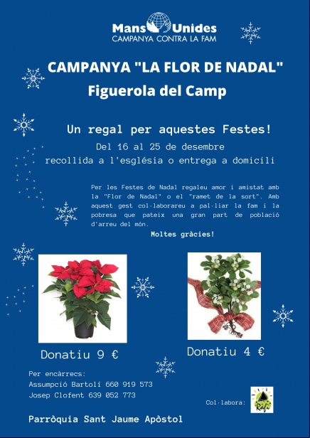 Campaña "La Flor de Nadal"