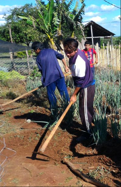 Millones de personas viven de la agricultura. En la imagen idígenas Mbyes Guaraníes en Paso Yobái-Paraguay. Foto Marta Isabel González-Manos Unidas