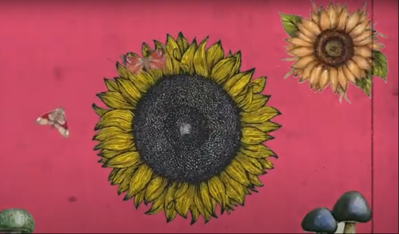 Ganadores de Clipmetrajes, categoría General: vídeos que intentan cambiar actitudes