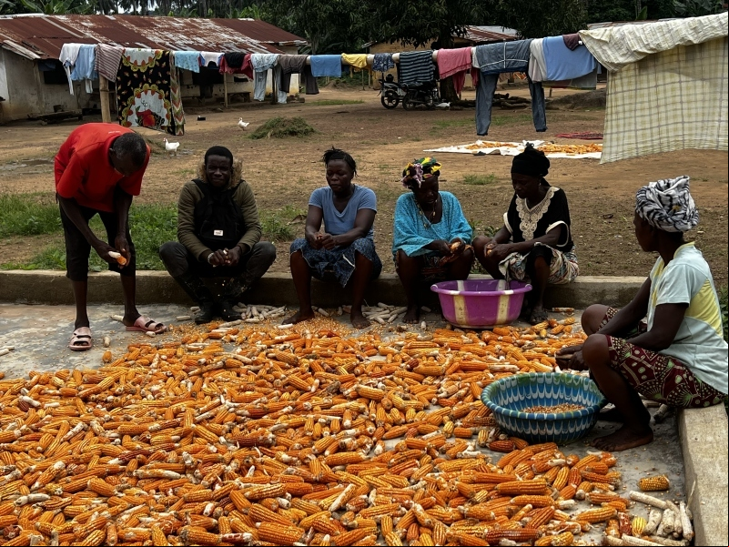 16 y 17 de octubre; Día de la Alimentación y de la Erra la Pobreza. Fotografía: Sierra Leone Chesterton Centre / Manos Unidasdicación de