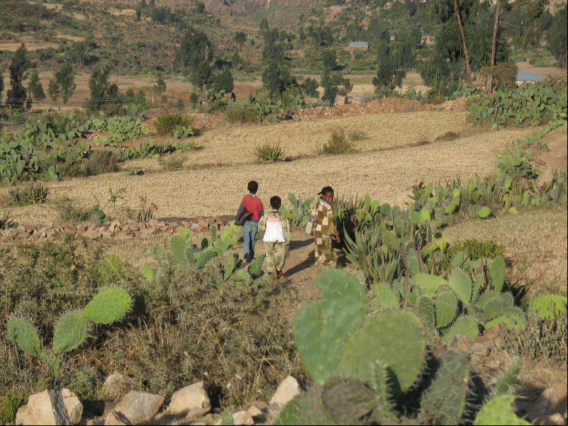 Día contra la desertificación y la Sequía. Foto: Marta Carreño en Etiopía