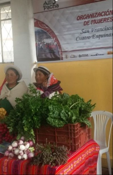 La Organización de mujeres San Francisco Cuatro Esquinas e la exposición de Palmira