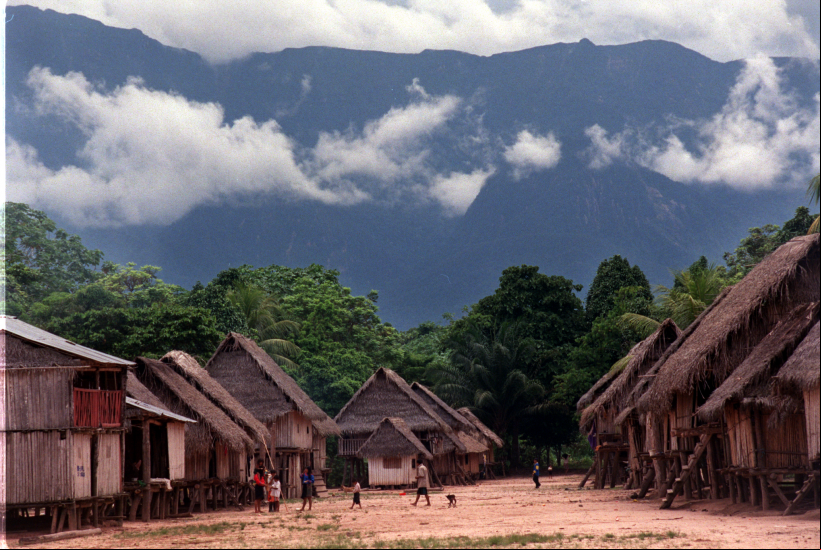 Kakataibo, Perú