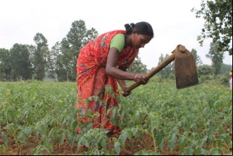 Mejora de la situación socio-económica de las mujeres sin casta del distrito de Ballía, India