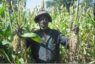 Mejora de la producción agrícola para familias pobres. Manos Unidas Valencia