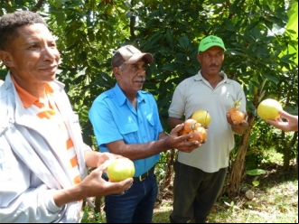 Promoción de agroecología en comunidades con escasos recursos y alto desempleo. Manos Unidas Valencia