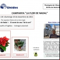 Campaña "La flor de Nadal" 2021