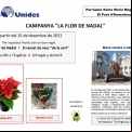 Campaña "La flor de Nadal" 2021