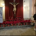 Campaña "Flor de Nadal"