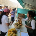 Día Mundial del Medio Ambiente 2020. Proyecto Manos Unidas en Quisqui (Perú). Foto: IDMA.