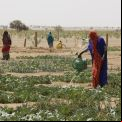 Mauritania - Foto Ana Pérez Manos Unidas