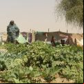 Mauritania - Foto Ana Pérez Manos Unidas