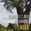 Cartel del Día Mundial del Medio Ambiente