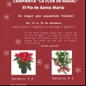 Campaña "La Flor de Nadal"