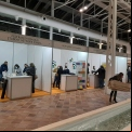 Manos Unidas en la III Feria del Asociacionismo de Madrid