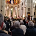 Fiesta del Apostolado Seglar 2023 en la Catedral de la Almudena