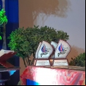Foto Manos Unidas - Premios Tejedores de Paz