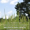 Día Medio Ambiente