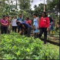 Proyecto medioambiental Napo, Ecuador