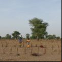 Huertos en Senegal: Marisa Muñoz Rojas