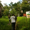 Senegal - Convenio Manos Unidas AECID - Foto Adele Lassalas - Reforestación en bosque comunitario