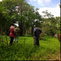 Senegal - Convenio Manos Unidas AECID - Foto Adele Lassalas - Reforestación en bosque comunitario