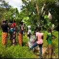 Senegal - Convenio Manos Unidas AECID - Foto Adele Lassalas - Reforestación en bosque comunitario