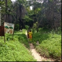 Senegal - Convenio Manos Unidas AECID - Foto Adele Lassalas - Reforestación en bosque comunitario