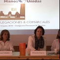 Taller sobre delegaciones y comarcales