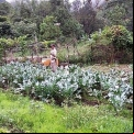 Promoción de agroecología en comunidades con escasos recursos y alto desempleo. Manos Unidas Valencia