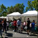 Mercado Cooperativo 
