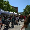 Mercado Cooperativo 